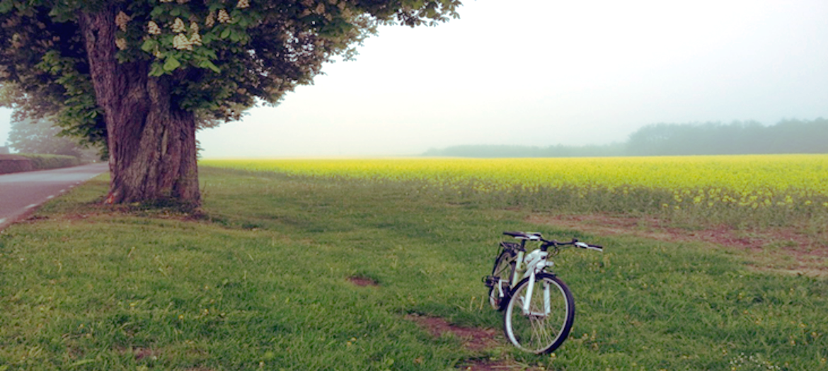 Mindfulness - Utbildningar och coaching både privat och i grupp